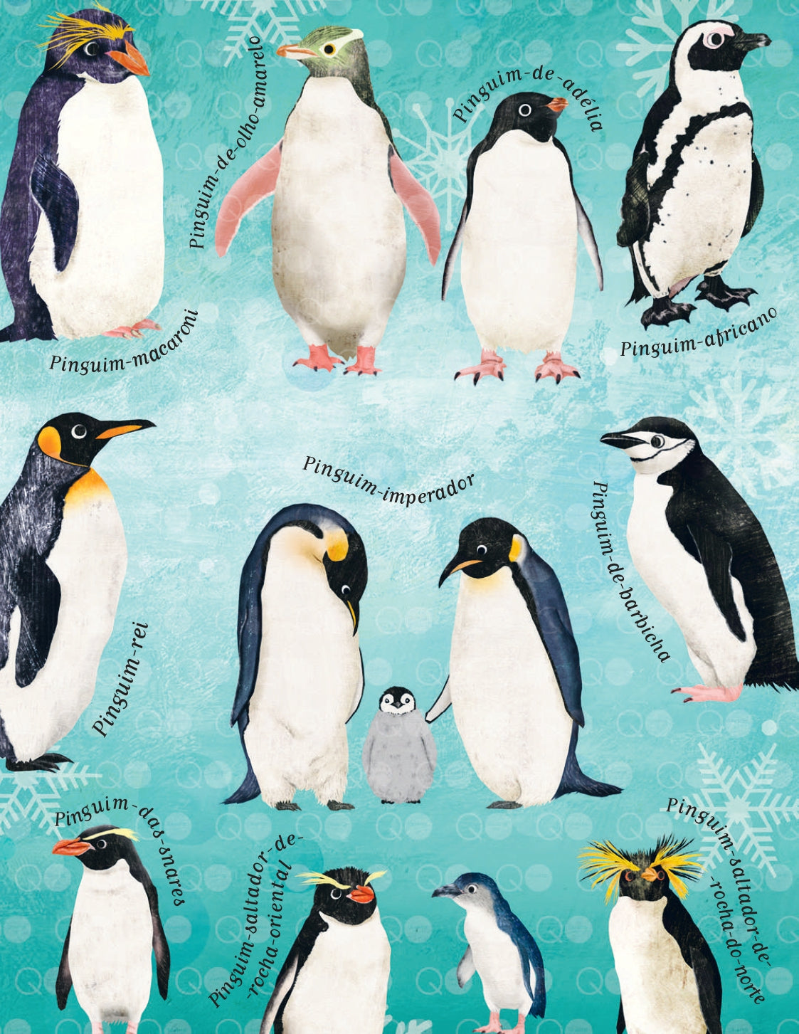 10 Razões para Gostares do Pinguim