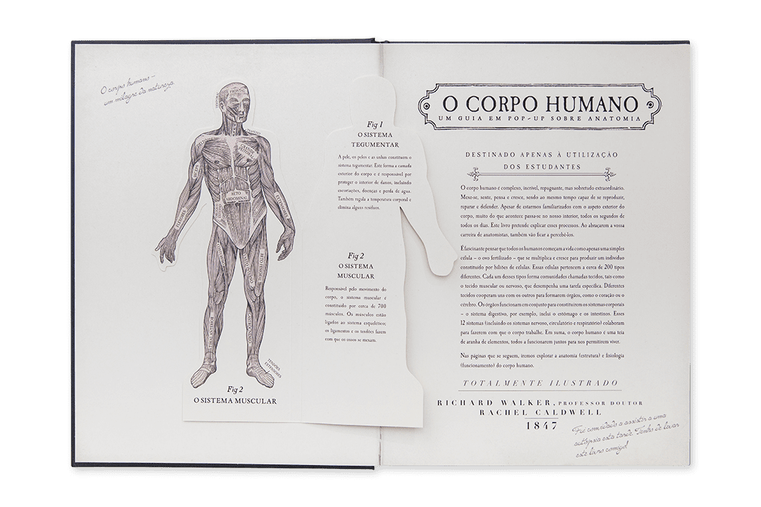 O Corpo Humano - Um Guia em Pop-up Sobre Anatomia