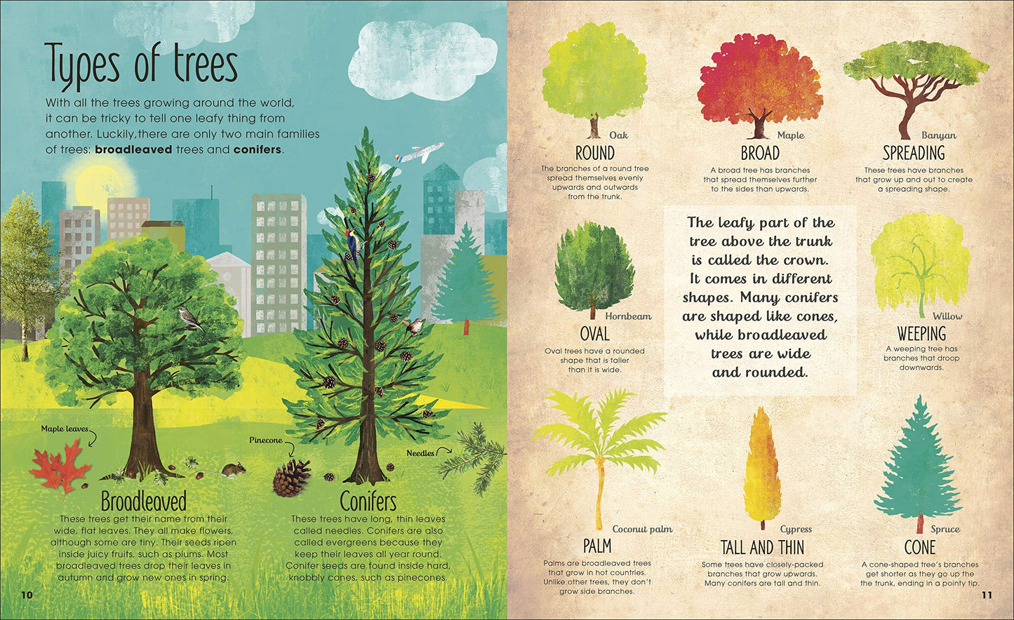 The Magic and Mistery of Trees