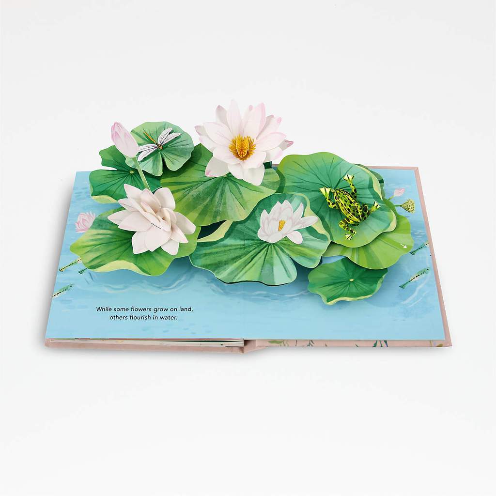 Flora: A Botanical Pop-up Book